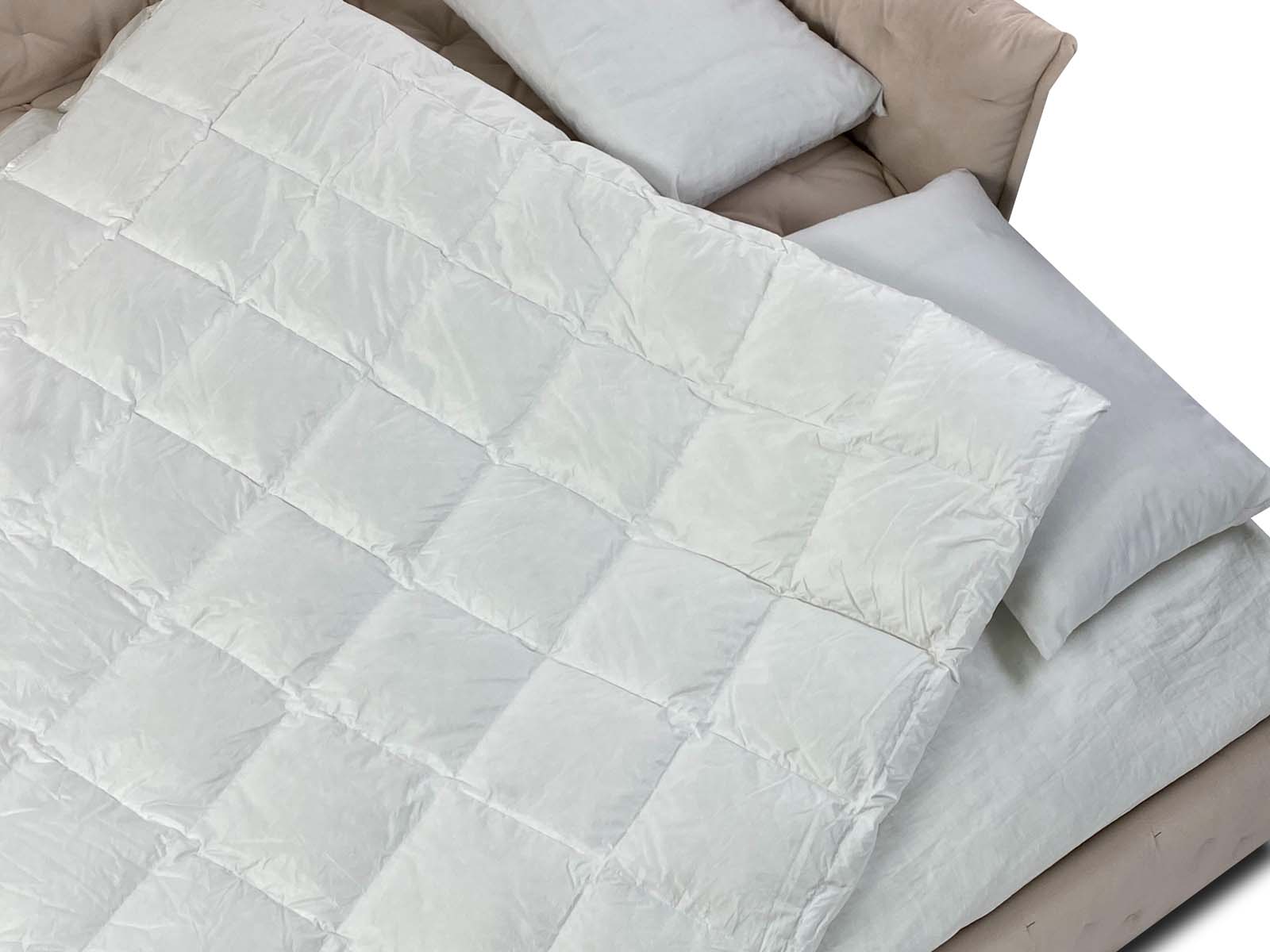 Patul alfabed club l cu locul de dormit extensibil disponibil ROXY20