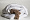 Plapuma trois couronnes royal wild duck down 3681289