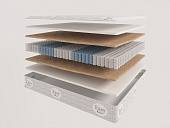 Товар Evita Rose Plus добавлен в корзину