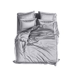 Set bumbac egiptean lux Satin 420tc Platinum