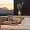 Pernă trois couronnes spine comfort omni 3666407