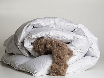 Plapuma trois couronnes royal eiderdown