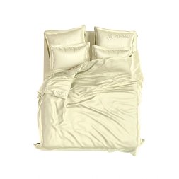 Set Exclusive Modal Champagne