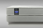 Товар Reflex Spine Professor H4 добавлен в корзину