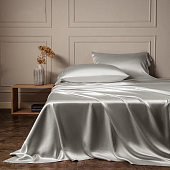 Товар Duvet Cover 100% Silk Sparkling Silver добавлен в корзину