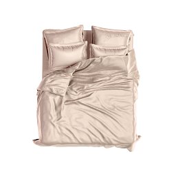 Set Model Exclusiv Trandafir Delicat