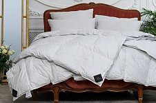 Одеяло Trois Couronnes Royal Wild Duck Down Light