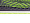 Topper Reflex Cation 3645592