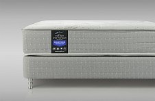 Saltea reflex spine professor h4