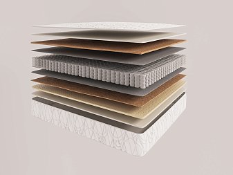 Flex Dream Polar