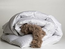 Одеяло Trois Couronnes Royal Eiderdown