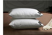 Товар Pernă trois couronnes de luxe selection goose down добавлен в корзину