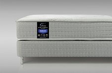 Reflex Spine Correct H4