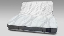Saltea reflex silenum ergo m2r