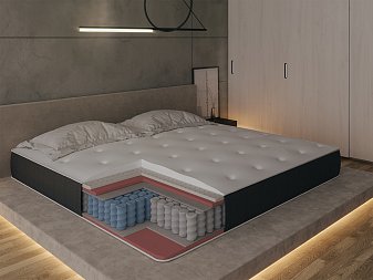 SymBio Beauty Medium