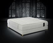 Товар Saltea trois couronnes sovereign yearling добавлен в корзину