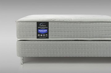 Reflex Spine Professor H3